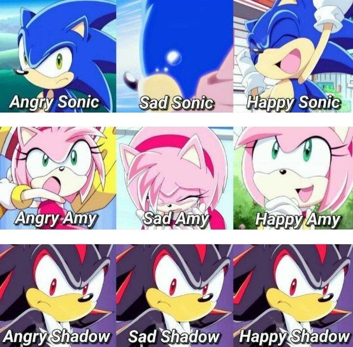 The Hedgehog Faces - meme