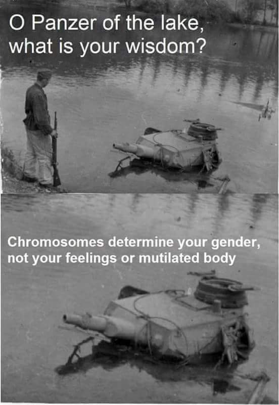O Panzer! - meme
