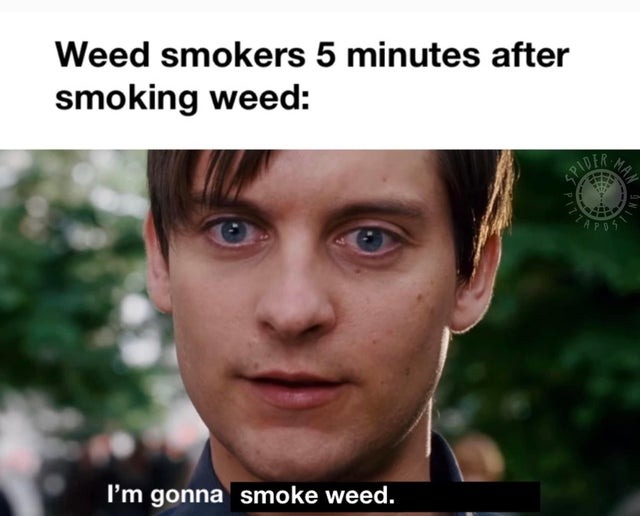 weed smokers be like - meme