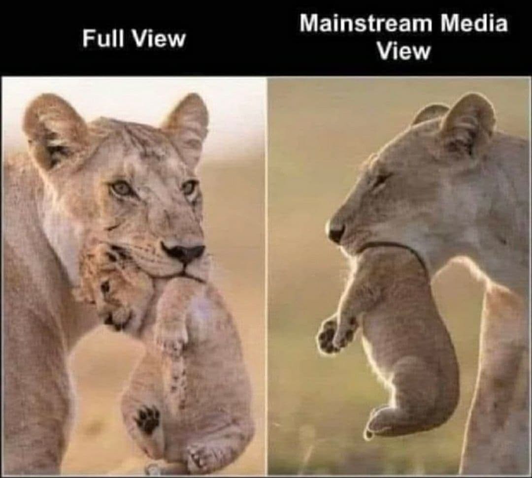 Mainstream Media - meme