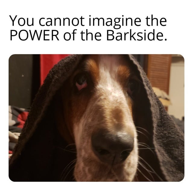 join the barkside - meme