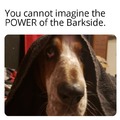 join the barkside
