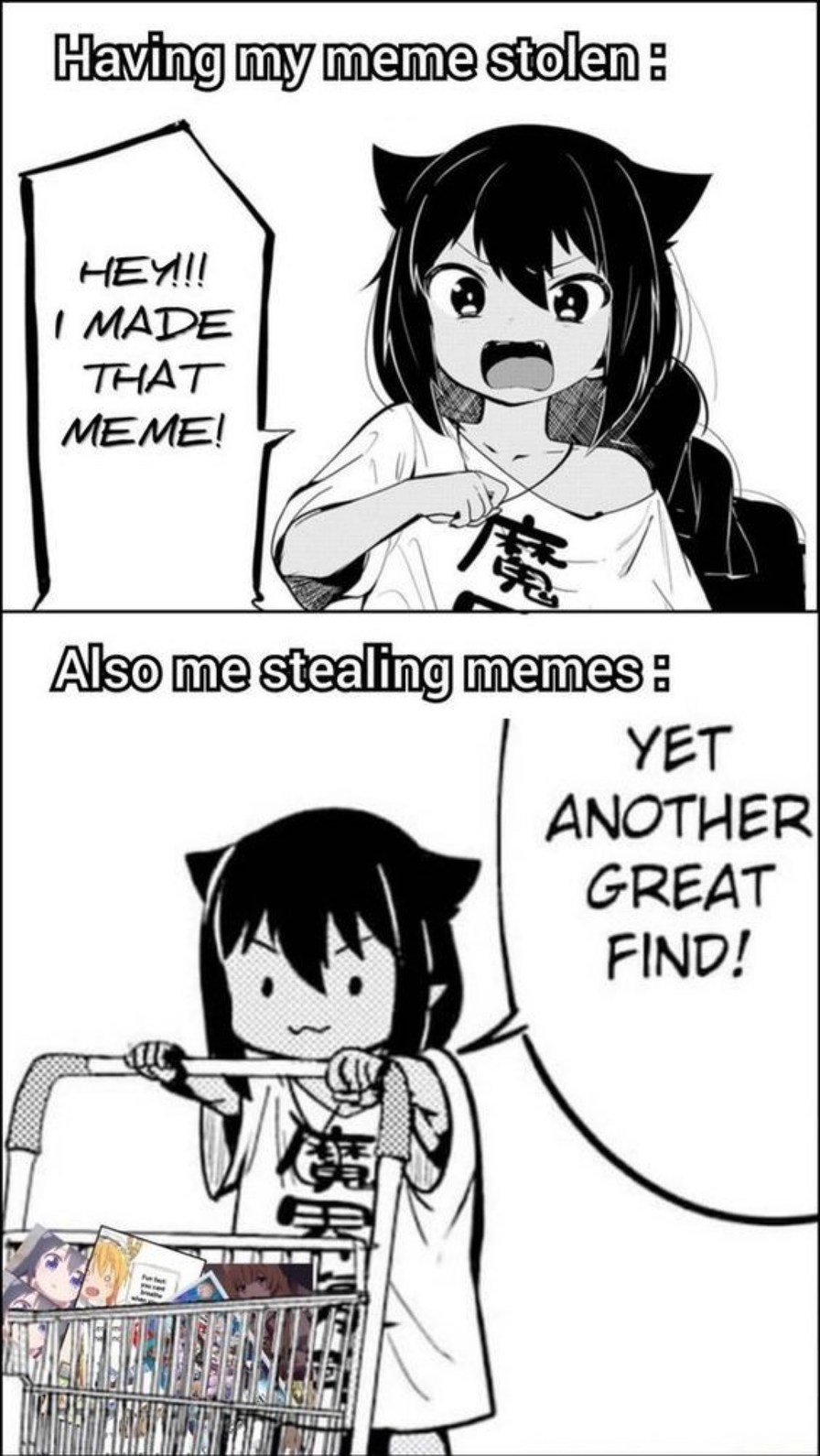 meme thief
