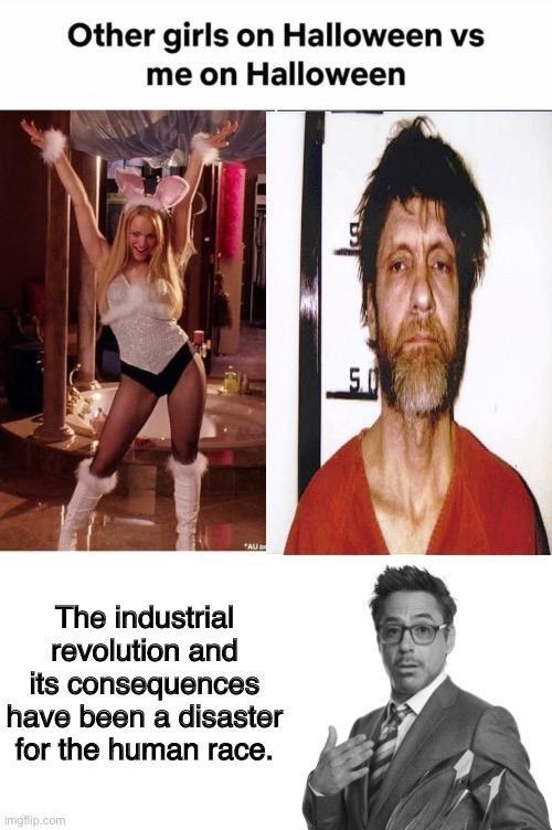 Industrial Revolution and its future - meme