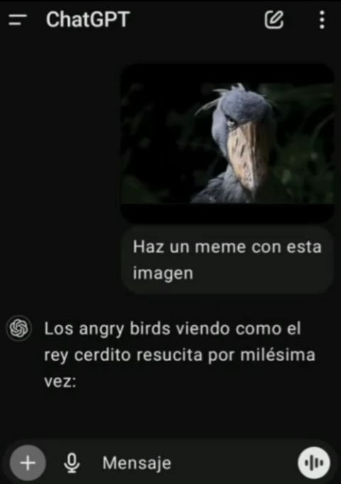 - - meme