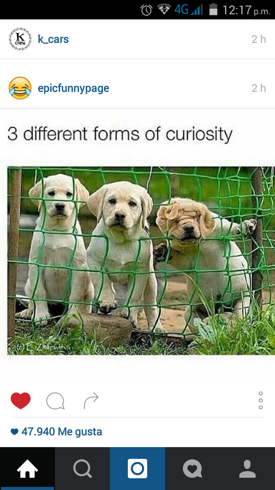 3 formas diferentes de curiosidad - meme