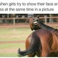 7th Comment gets killed by Horse Farts