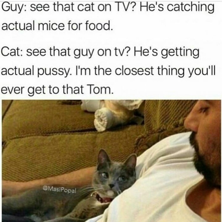 This pussy has no chill - meme