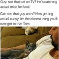 This pussy has no chill