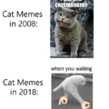 Cat memes across the time