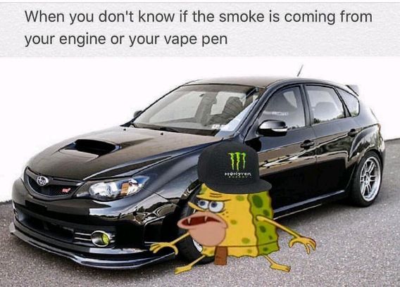 Subie gang - meme