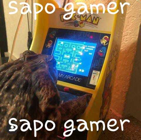 sapo gamer - meme
