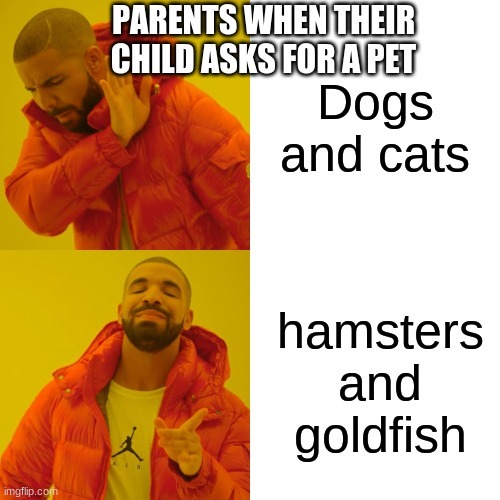 Parents when the kid wants a pet - meme
