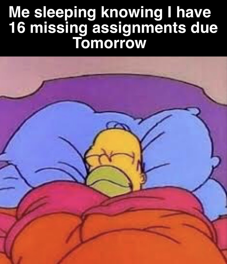 Homer sleeping - meme