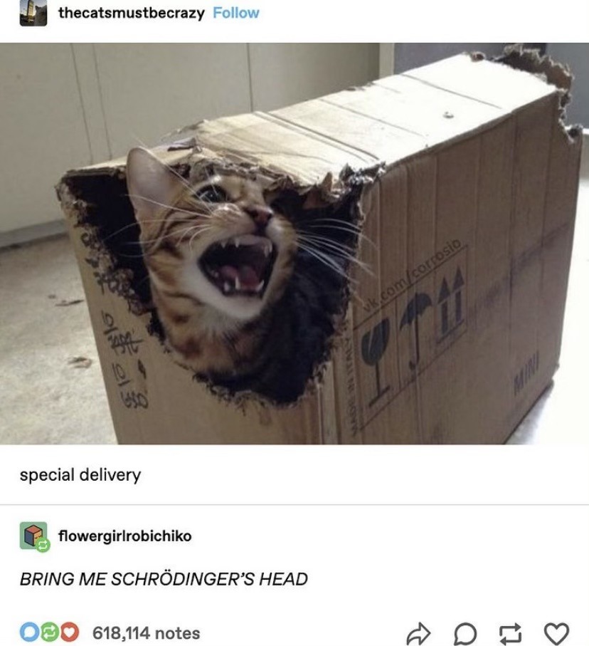 Schrödinger’s Cat - meme