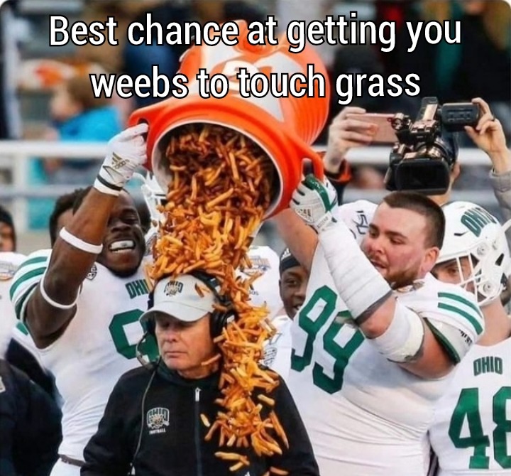 Fries are the main, grass is the side - meme