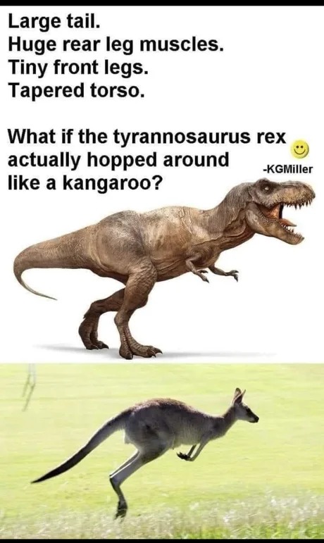 Kangoroosaurus rex - meme