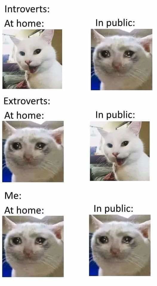 Yeah pretty much the case.. - meme