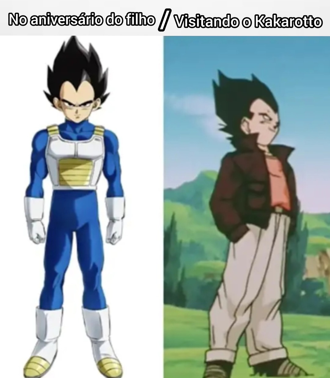 As prioridades de Vegeta - meme