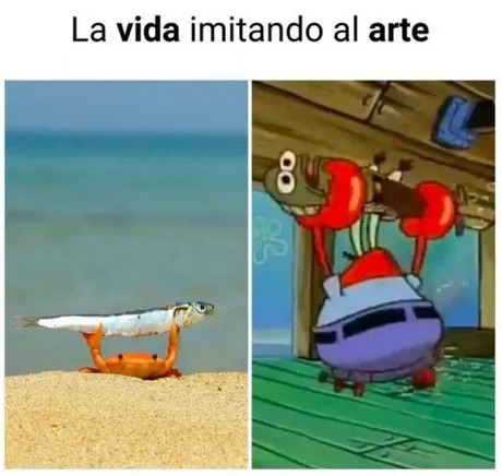 cuando la vida copia al arte y ni te avisan - meme