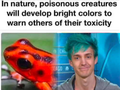 Poisonous creatures will develop bright colors to warn others of their toxicity - meme