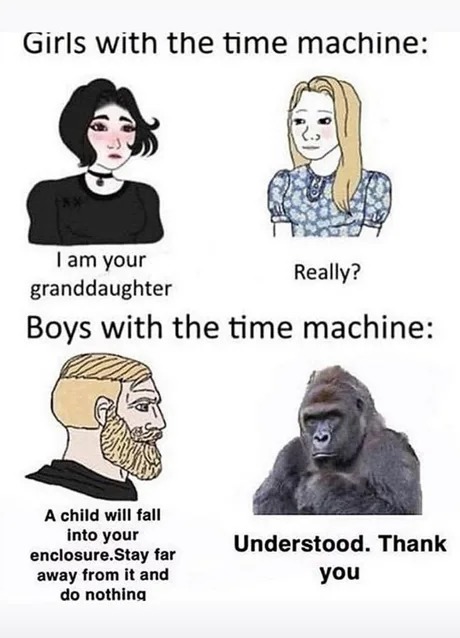 Harambe we remember you - meme