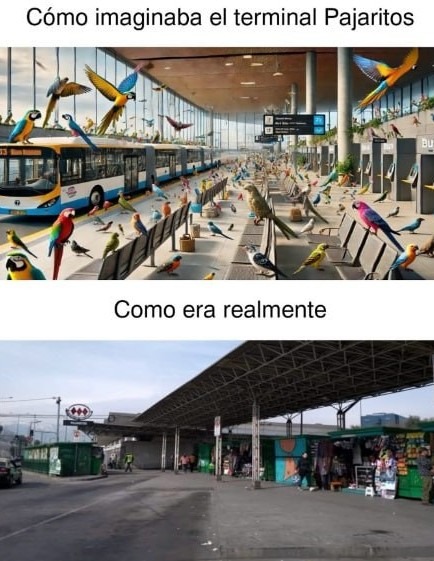 Cómo imaginaba el Terminal Pajaritos vs la triste realidad - meme