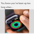 Only apple watch owners will understand