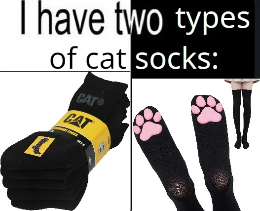 Cat socks - meme