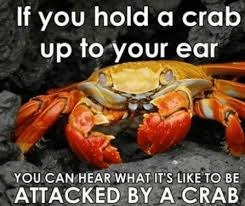 crab - meme