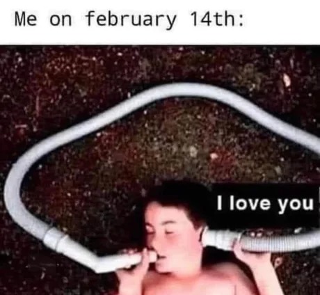 Valentine's day meme