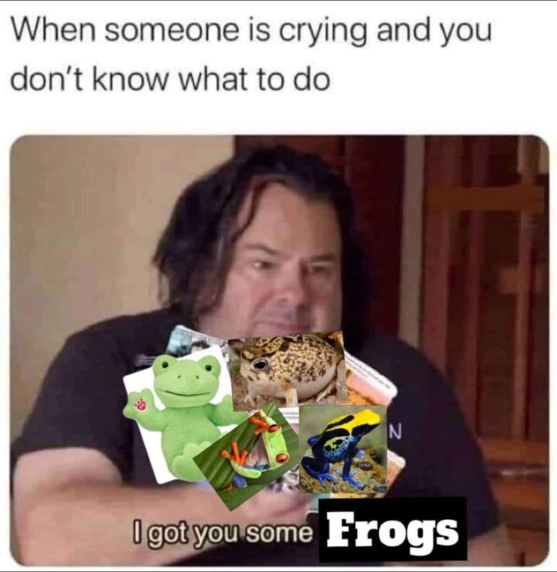What type of frogs would you like? - meme