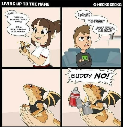 Pedo/Trans : A smoke screen for bestiality. - meme