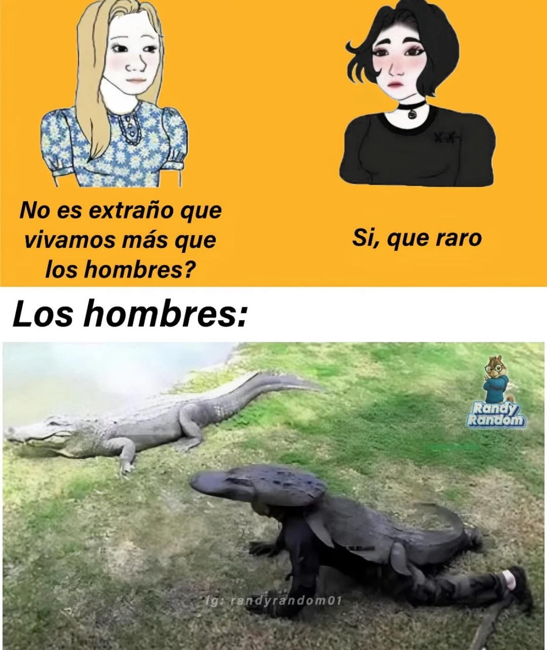 Buena idea para conocer a los cocodrilos - meme