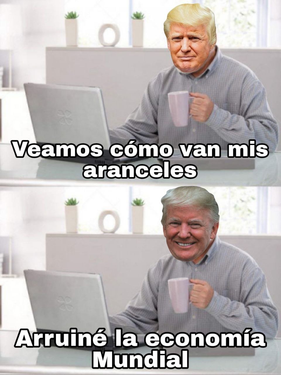 Veamos cómo van mis aranceles... ups - meme