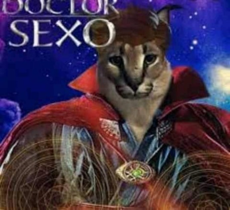 doctor sexo - meme