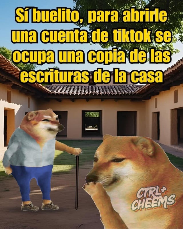 Pa abrir TikTok ya piden copia de las escrituras de la casa - meme