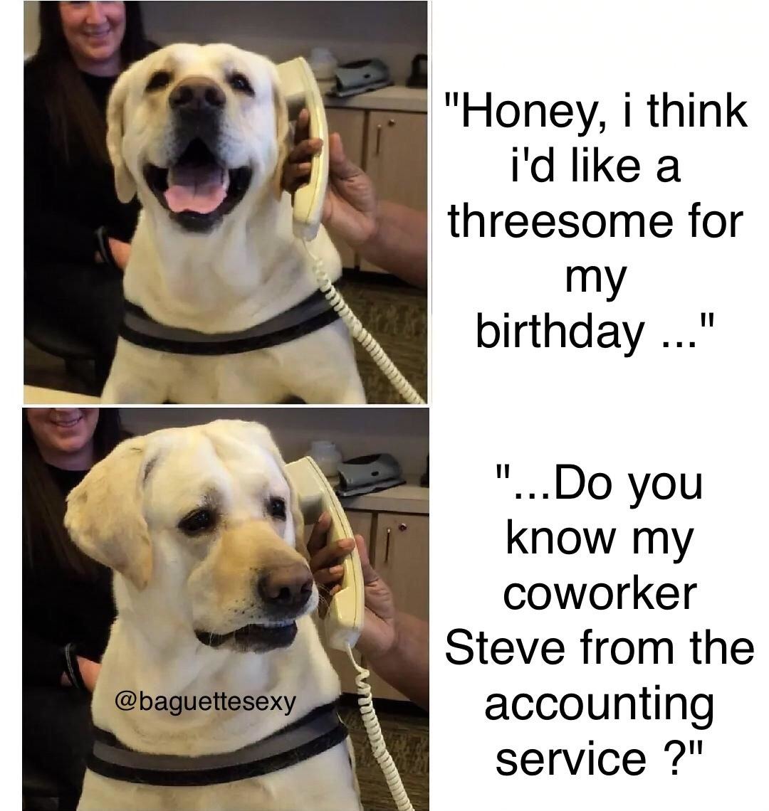 Funny dog birthday meme