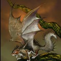 Searched squirrel dragon, wasn't disappointed