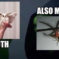 commented item thumbnail