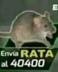 Envía Rata al 40400 - meme