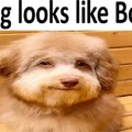 commented item thumbnail