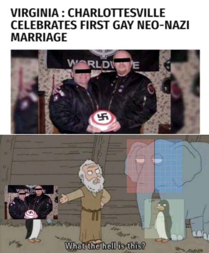 Primeiro casamento gay neo nazista - meme