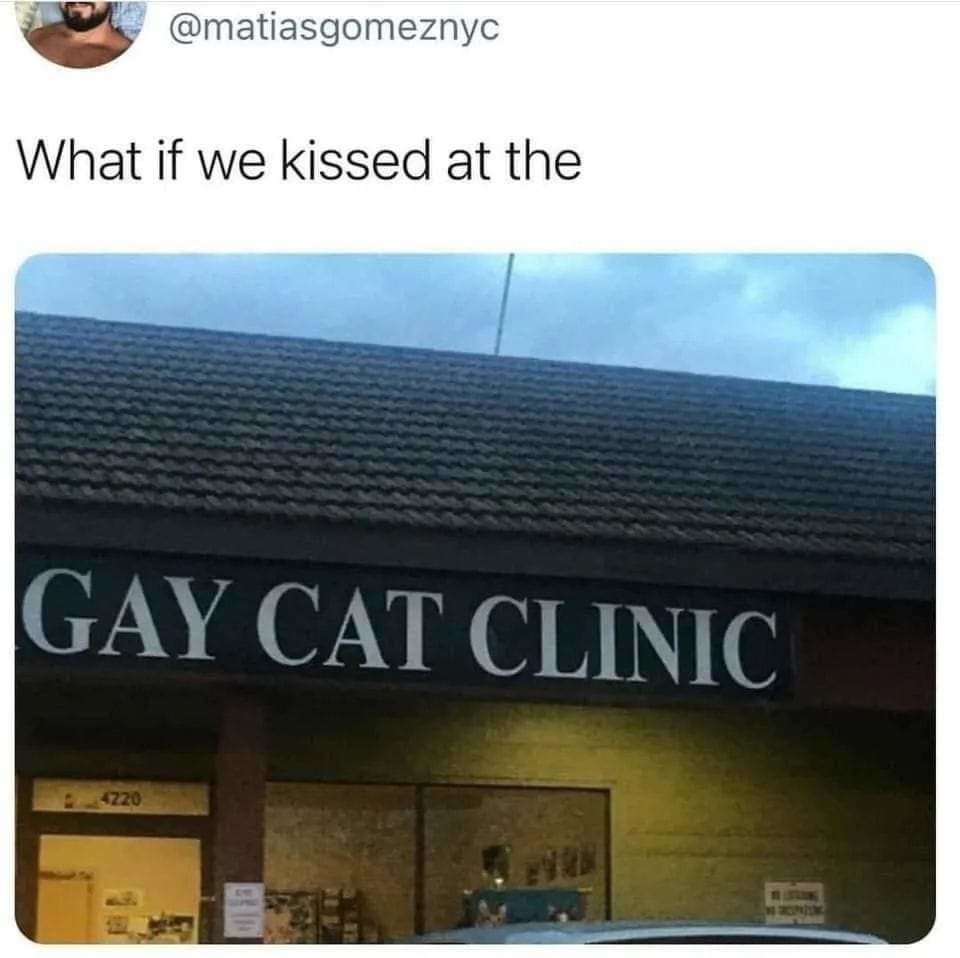 Gay pussy - meme