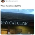 Gay pussy