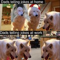 dad laughing wolves meme