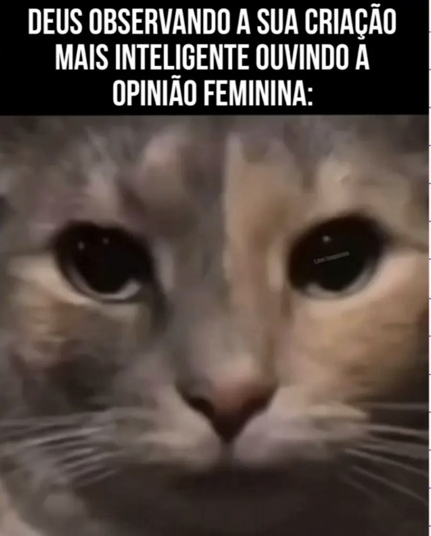 O desgosto em um olhar - meme