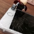 Lol iPhones suck