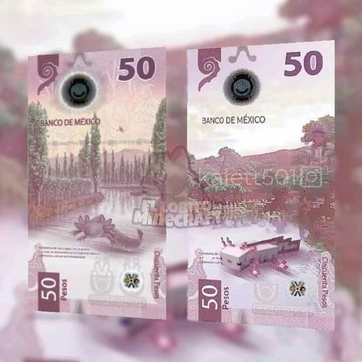 50 pesos - meme