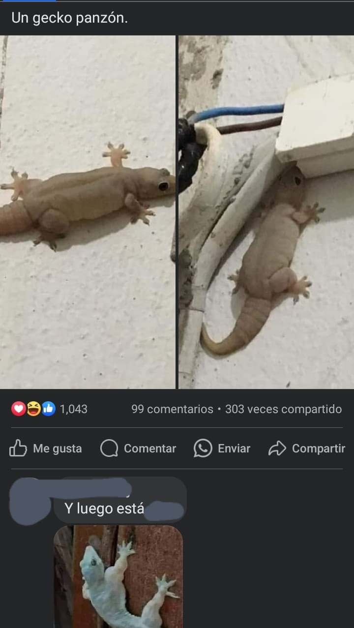 mi amigo el q se mudo a eeuu de niño - meme